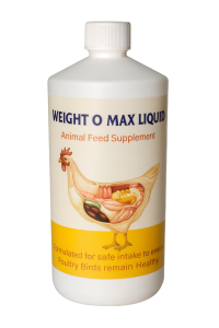 ChatGPT Image Oct 10, 2025, 11_09_07 AM