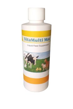 ChatGPT Image Oct 10, 2025, 11_28_40 AM